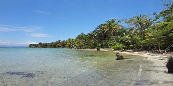 islas canarias en ruta empresas de viajes organizados