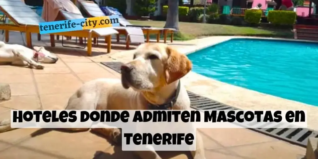 Hoteles que admiten mascotas en Tenerife sur y norte