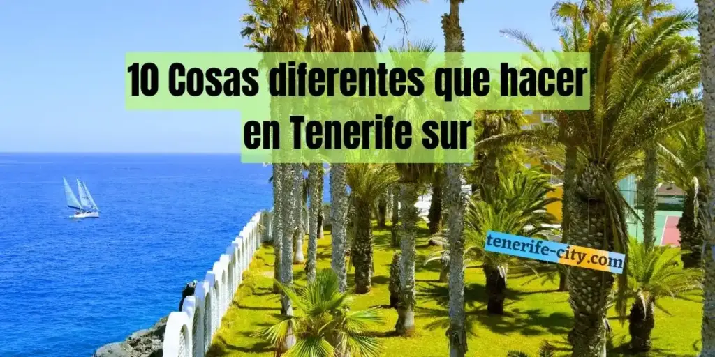 ≡ 10 Cosas que ver y hacer en Tenerife sur en 2 o 3 días????️ ≡
