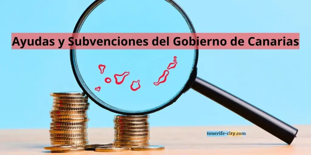 ≡ Ayudas sociales y subvenciones económicas del Gobierno de Canarias ...