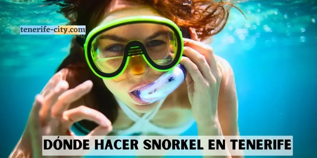 Dónde hacer Snorkel en Tenerife